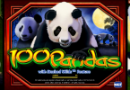 100-pandas-130×90
